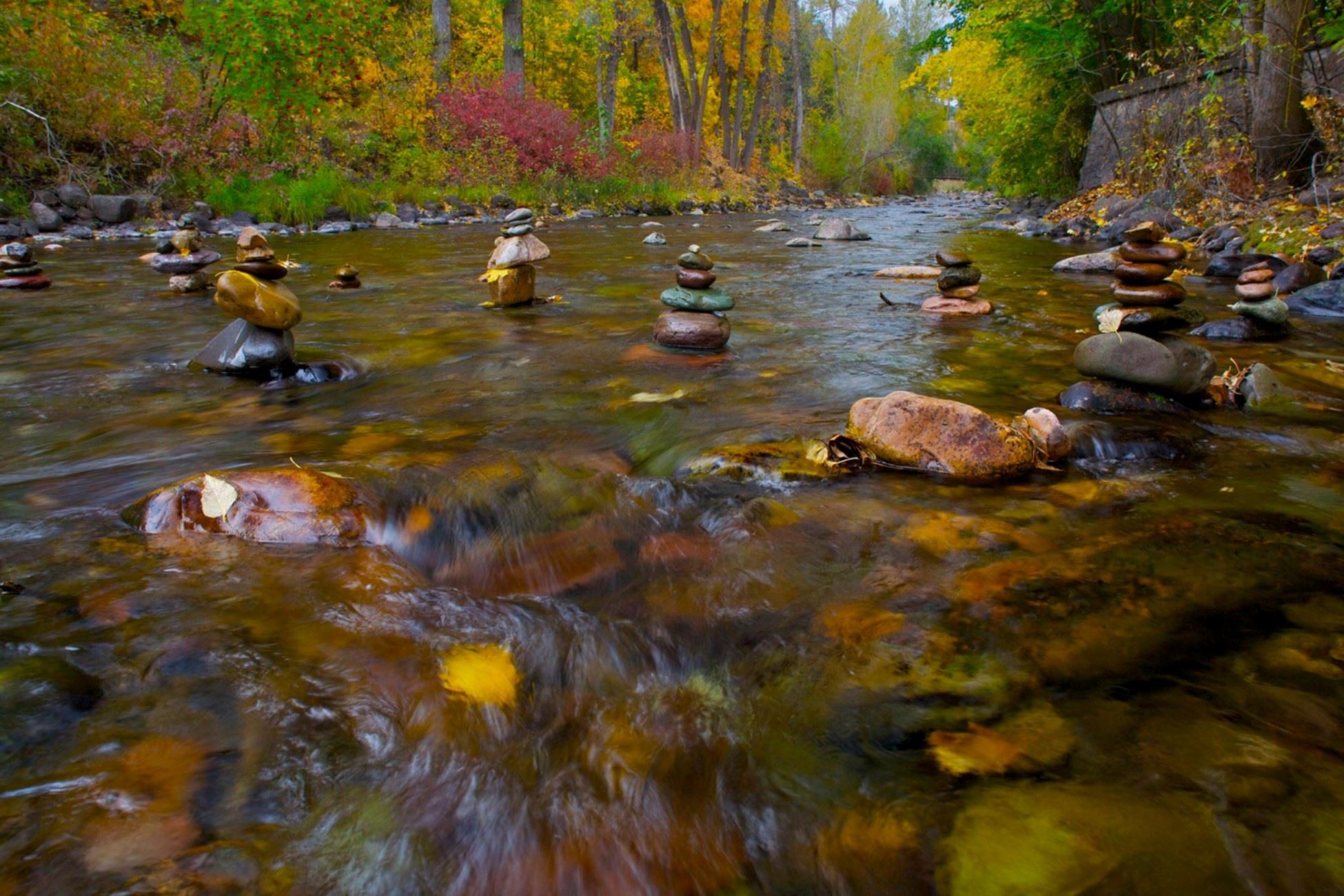 Rattlesnake Creek, Craig McCollum