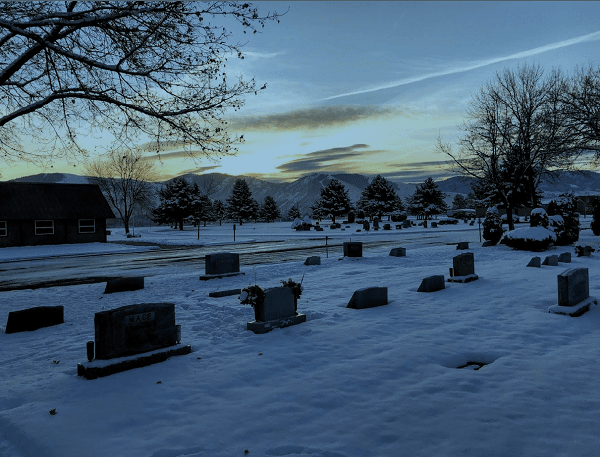 Snowy Photo at Sunrise