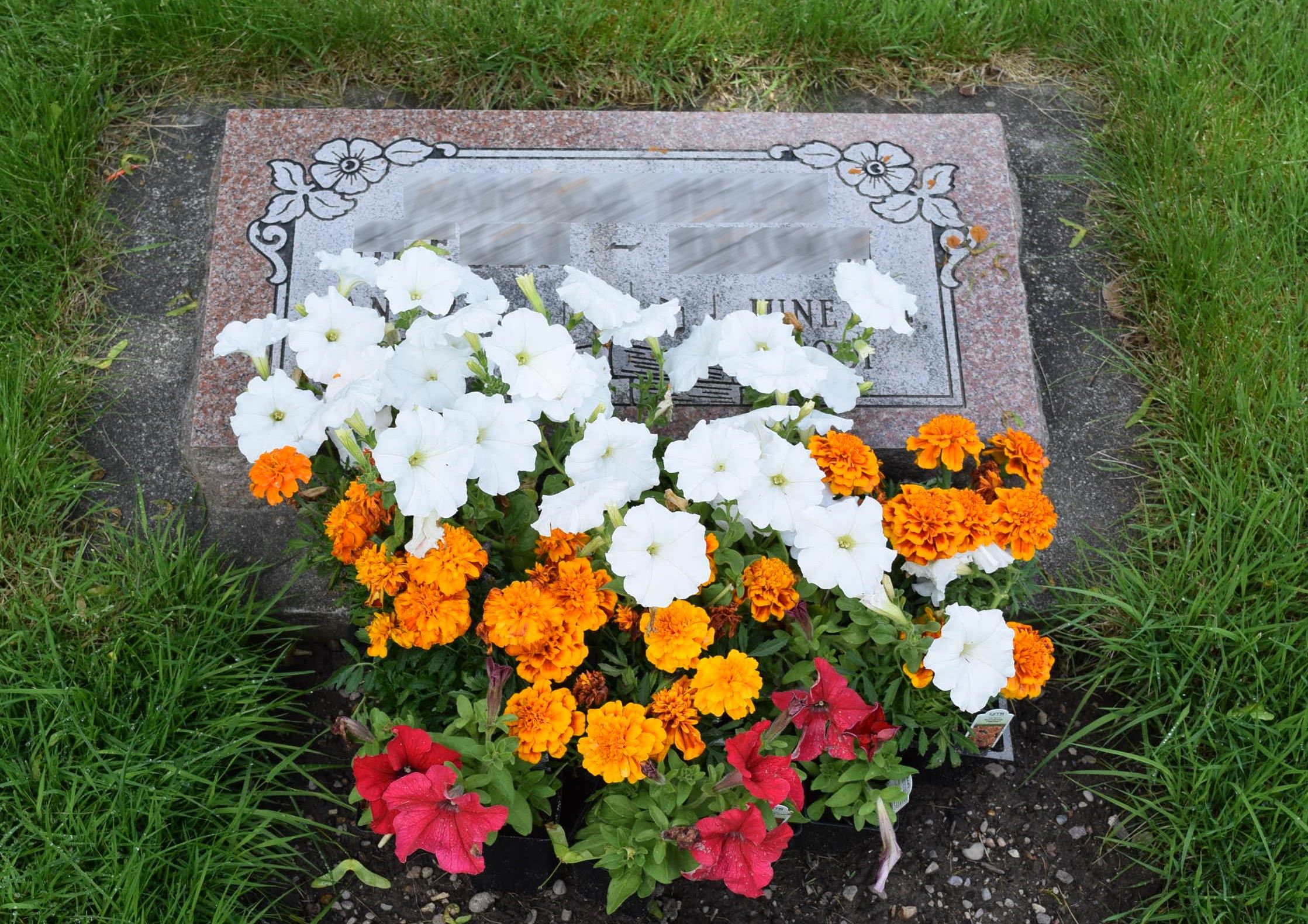Flower Bed Example
