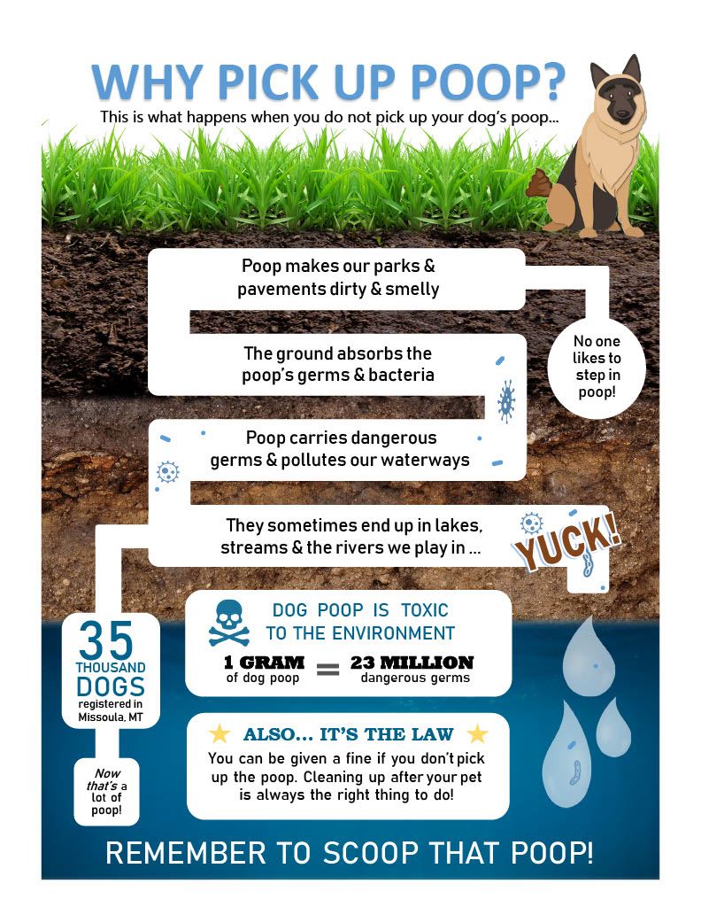 2020 Why Pick Up Poop Infographic1024_1